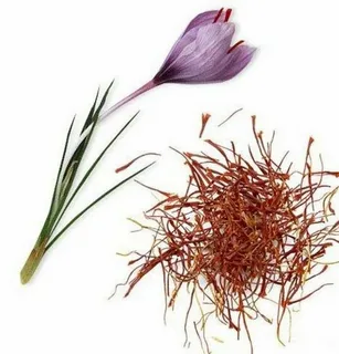 تصویر 1 از خرید و فروش زعفران اعلا صادراتی با شرایط فوق العاده